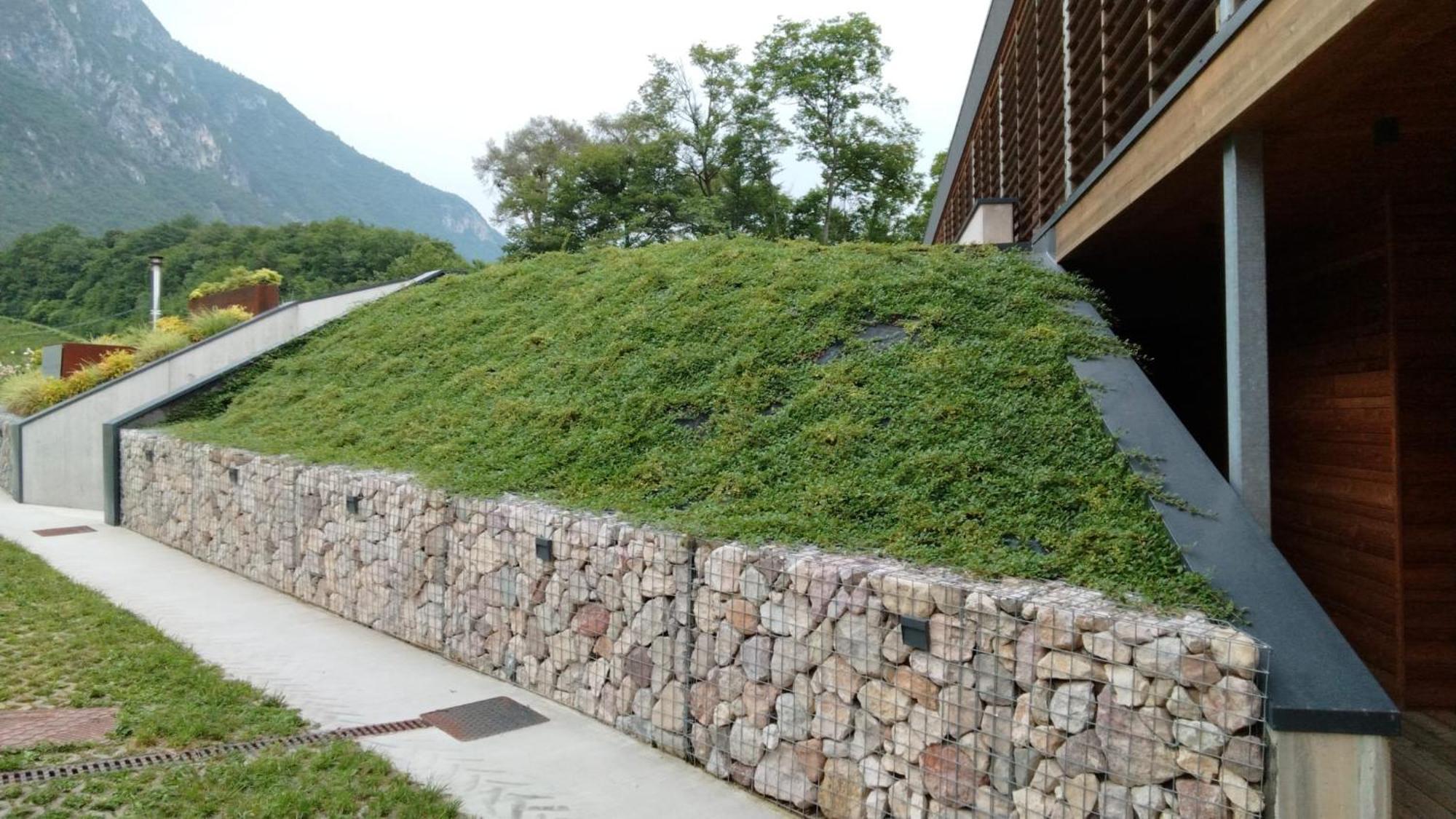 Agriturismo Margone 特伦托 外观 照片